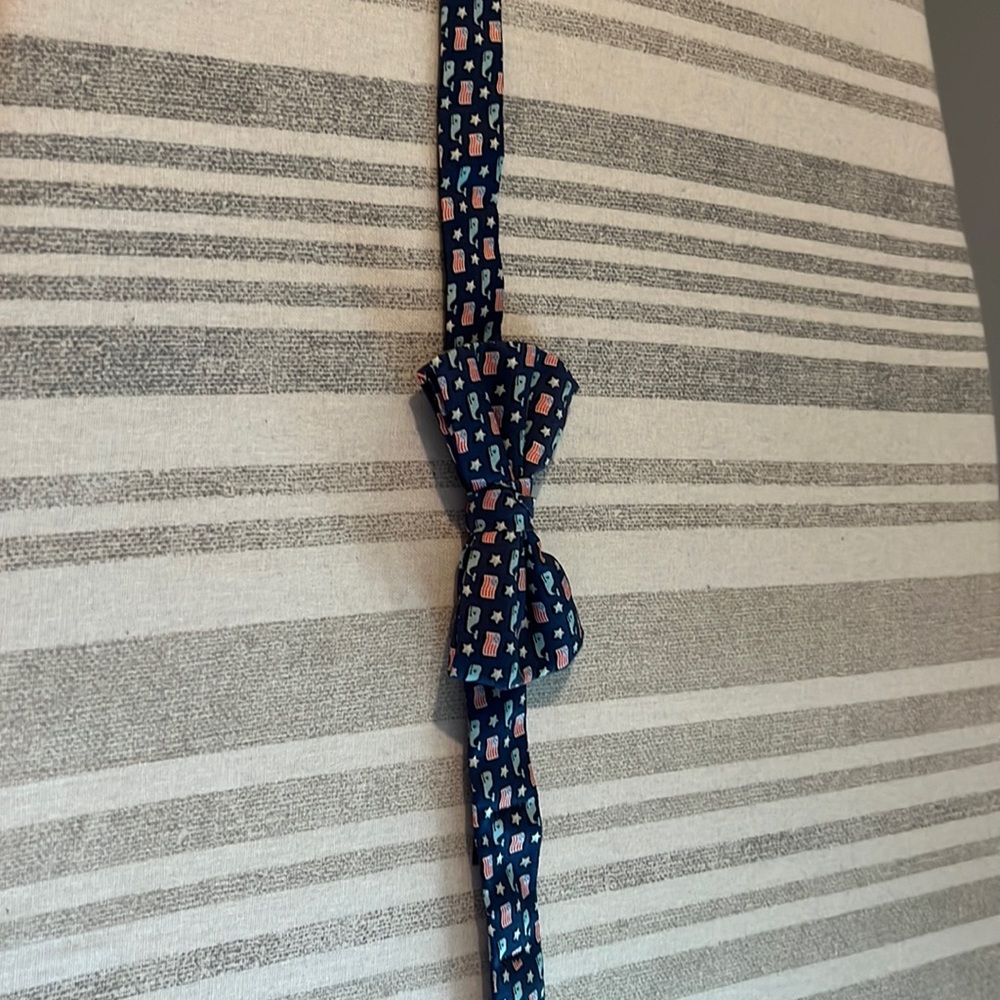 Boys vineyard vines bow tie